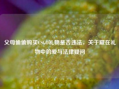 父母偷偷购买CSGO礼物是否违法，关于藏在礼物中的爱与法律疑问