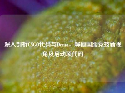 深入剖析CSGO代码与Demo，解锁国服竞技新视角及启动项代码