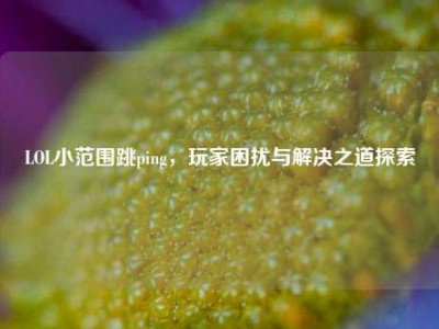 LOL小范围跳ping，玩家困扰与解决之道探索