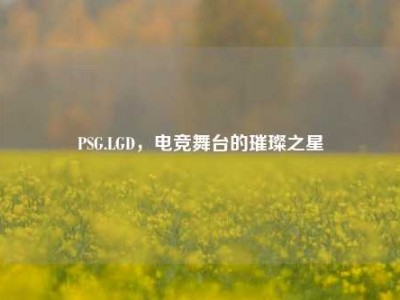 PSG.LGD，电竞舞台的璀璨之星