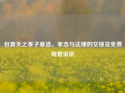 包青天之孝子章洛，孝念与法理的交锋及免费观看资讯
