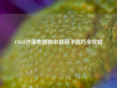 CSGO沙漠地图跳中路箱子技巧全攻略