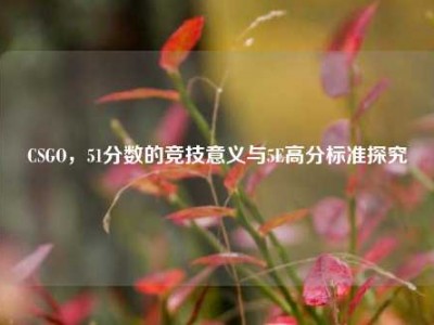 CSGO，51分数的竞技意义与5E高分标准探究