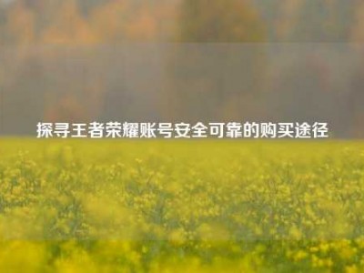 探寻王者荣耀账号安全可靠的购买途径