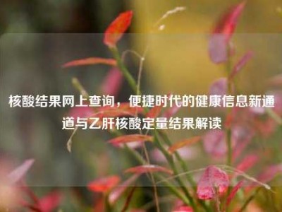 核酸结果网上查询，便捷时代的健康信息新通道与乙肝核酸定量结果解读