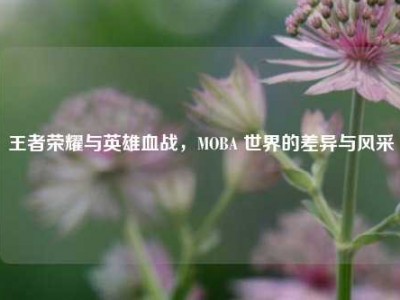 王者荣耀与英雄血战，MOBA 世界的差异与风采