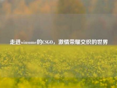 走进winsome的CSGO，激情荣耀交织的世界