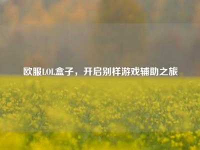 欧服LOL盒子，开启别样游戏辅助之旅