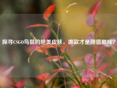 探寻CSGO鸟狙的绝美皮肤，哪款才是颜值巅峰？