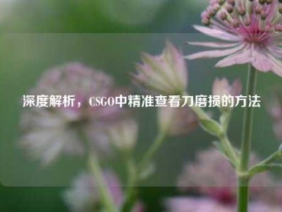 深度解析，CSGO中精准查看刀磨损的方法