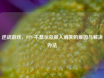 逆战游戏，FPS 不显示及敌人消失的原因与解决办法