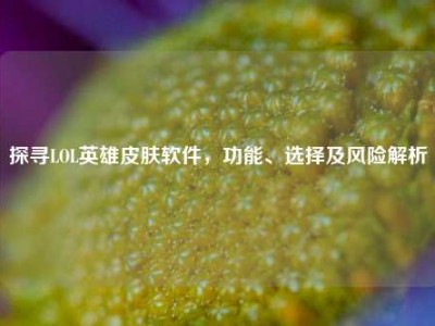 探寻LOL英雄皮肤软件，功能、选择及风险解析