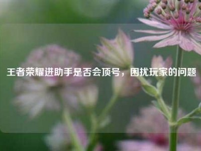 王者荣耀进助手是否会顶号，困扰玩家的问题