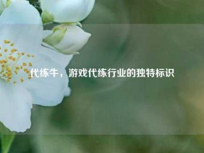 代练牛，游戏代练行业的独特标识