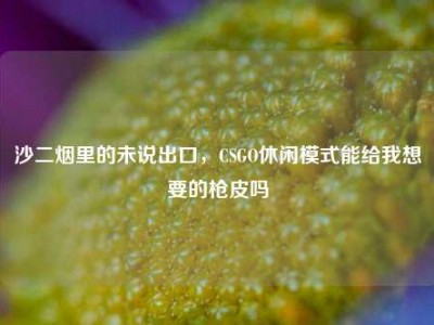 沙二烟里的未说出口，CSGO休闲模式能给我想要的枪皮吗