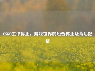 CSGO工作停止，游戏世界的短暂休止及背后隐情