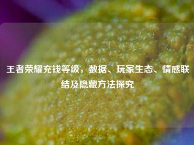王者荣耀充钱等级，数据、玩家生态、情感联结及隐藏方法探究