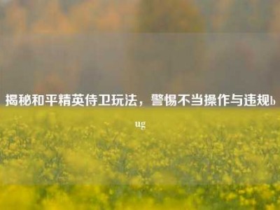 揭秘和平精英侍卫玩法，警惕不当操作与违规bug
