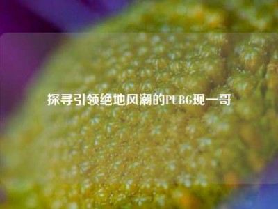 探寻引领绝地风潮的PUBG现一哥