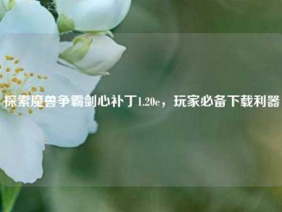 探索魔兽争霸剑心补丁1.20e，玩家必备下载利器