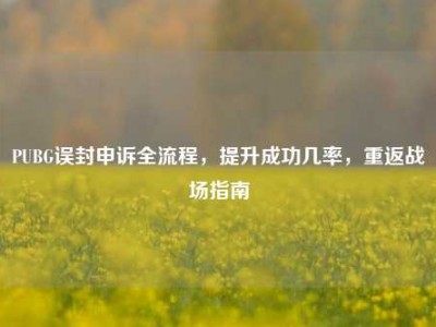 PUBG误封申诉全流程，提升成功几率，重返战场指南