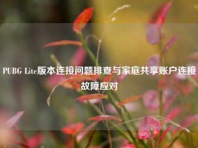 PUBG Lite版本连接问题排查与家庭共享账户连接故障应对