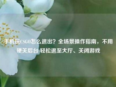 手机玩CSGO怎么退出？全场景操作指南，不用硬关后台 轻松退至大厅、关闭游戏