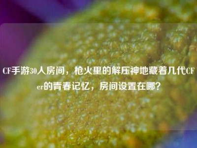 CF手游30人房间，枪火里的解压神地藏着几代CFer的青春记忆，房间设置在哪？