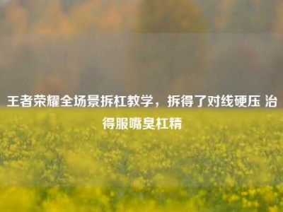 王者荣耀全场景拆杠教学，拆得了对线硬压 治得服嘴臭杠精