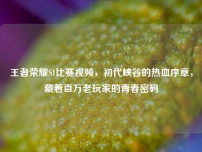 王者荣耀S1比赛视频，初代峡谷的热血序章，藏着百万老玩家的青春密码
