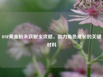 DNF黄金粉末获取全攻略，助力角色成长的关键材料