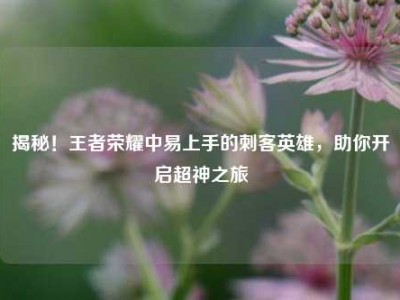 揭秘！王者荣耀中易上手的刺客英雄，助你开启超神之旅