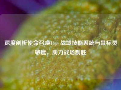 深度剖析使命召唤16，战域技能系统与鼠标灵敏度，助力战场制胜