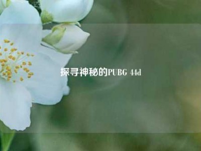 探寻神秘的PUBG 44d
