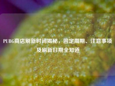 PUBG商店刷新时间揭秘，固定周期、注意事项及刷新日期全知道