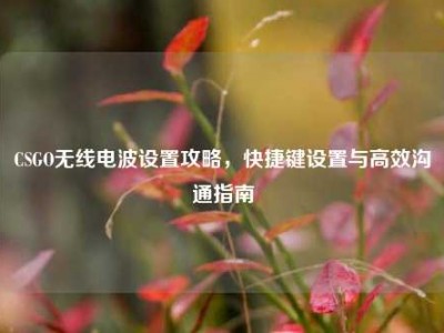 CSGO无线电波设置攻略，快捷键设置与高效沟通指南