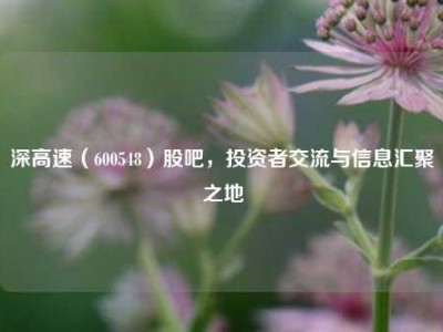深高速（600548）股吧，投资者交流与信息汇聚之地
