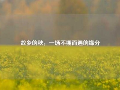 故乡的秋，一场不期而遇的缘分
