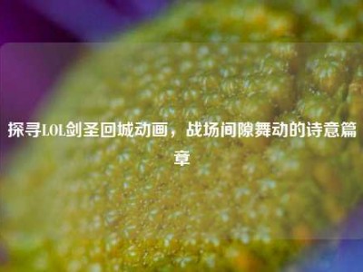 探寻LOL剑圣回城动画，战场间隙舞动的诗意篇章