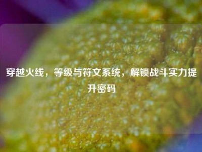 穿越火线，等级与符文系统，解锁战斗实力提升密码