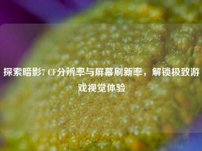 探索暗影7 CF分辨率与屏幕刷新率，解锁极致游戏视觉体验