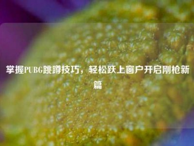 掌握PUBG跳蹲技巧，轻松跃上窗户开启刚枪新篇