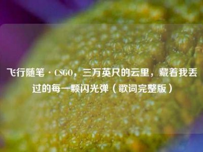 飞行随笔·CSGO，三万英尺的云里，藏着我丢过的每一颗闪光弹（歌词完整版）