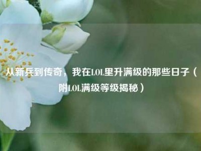 从新兵到传奇，我在LOL里升满级的那些日子（附LOL满级等级揭秘）