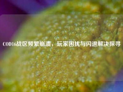 COD16战区频繁崩溃，玩家困扰与闪退解决探寻