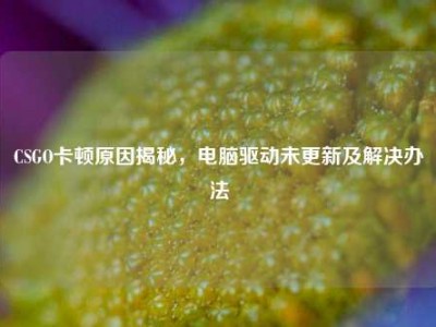 CSGO卡顿原因揭秘，电脑驱动未更新及解决办法