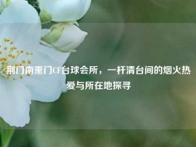 荆门南熏门CF台球会所，一杆清台间的烟火热爱与所在地探寻