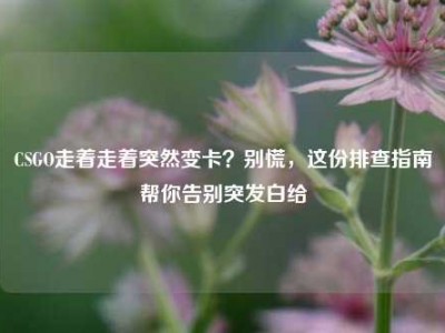 CSGO走着走着突然变卡？别慌，这份排查指南帮你告别突发白给