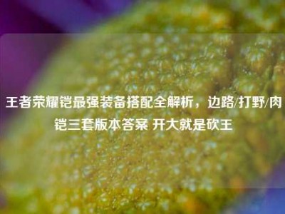 王者荣耀铠最强装备搭配全解析，边路/打野/肉铠三套版本答案 开大就是砍王