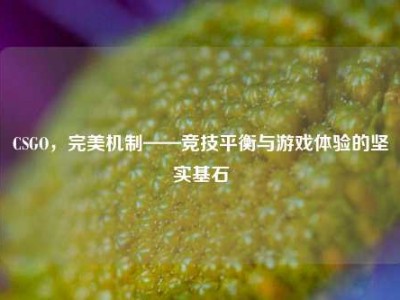 CSGO，完美机制——竞技平衡与游戏体验的坚实基石
